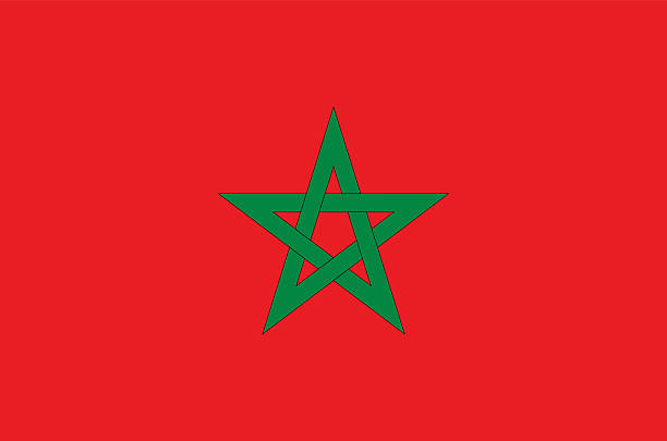 stockillustraties, clipart, cartoons en iconen met morocco flag - morocco