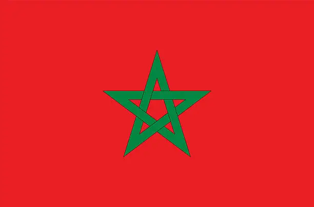 Vector illustration of Morocco flag