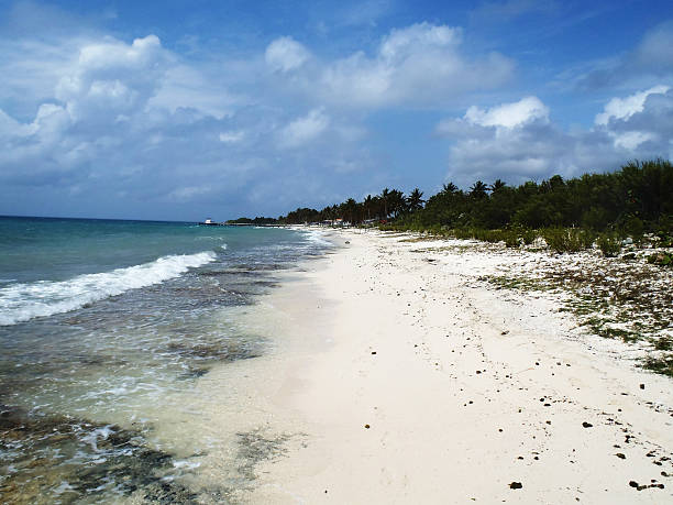 Maria La Gorda The awesome beach of  Maria La Gorda maria la gorda stock pictures, royalty-free photos & images