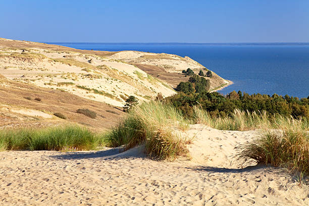 Curonian Spit, Lithuania Sand dunes in Curonian Spit, Lithuania. lithuania stock pictures, royalty-free photos & images