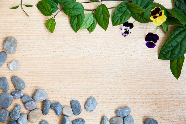 istock Background green leaves on wood 520221727