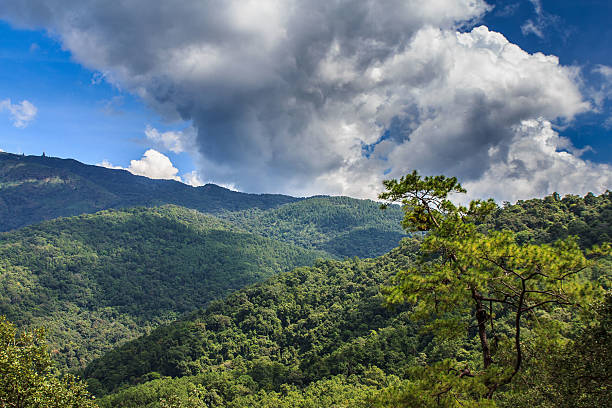 istock View from Doi Inthanon, the highest peak of Thailand 520223436