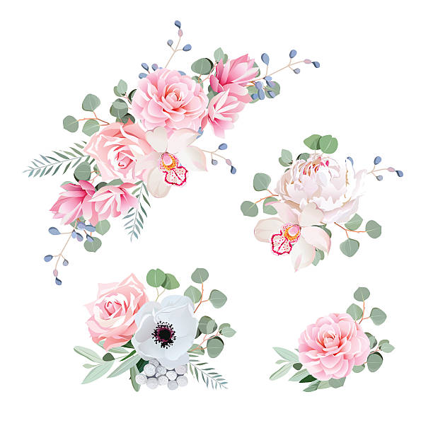 Sweet wedding bouquets of rose, peony, orchid, anemone, camellia Sweet wedding bouquets of rose, peony, orchid, anemone, camellia, blue berries and eucaliptis leaves. Vector design elements.. pink flowers stock illustrations