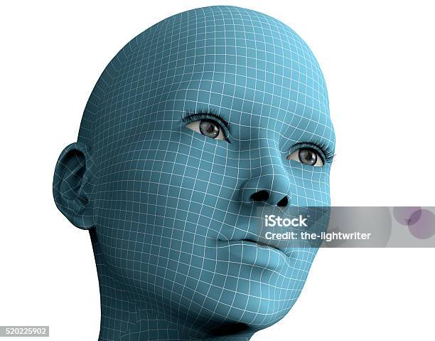 Woman Face In Wireframe Lines Isolated On White3d Illustration Stock Photo - Download Image Now