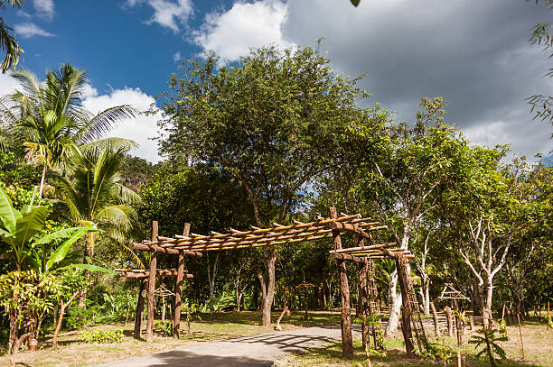 istock Blue sky and white clouds through the green palm trees 520229520