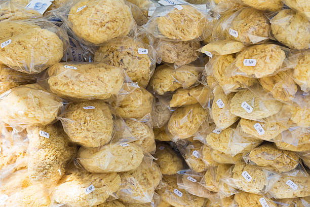 istock Closup of a natural sponges 520231488