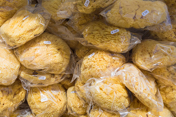 istock Closup of a natural sponges 520231578