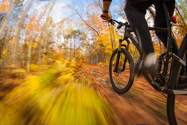 istock Mountain biking along a trail in the bright sun. 520231596