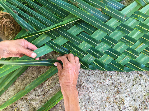 Woman weaving coconut palm frond. Lighthouse Reef Atoll. Belize Caribbean.