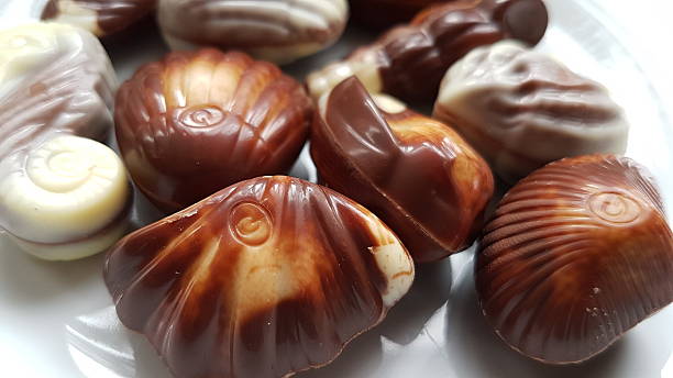 Seashell Shaped Chocolate stock photo