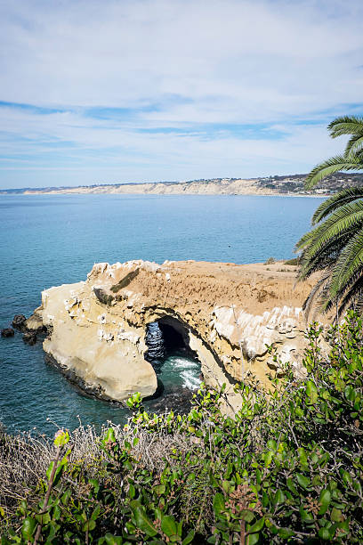 istock Sea Cave in La Jolla 520237735