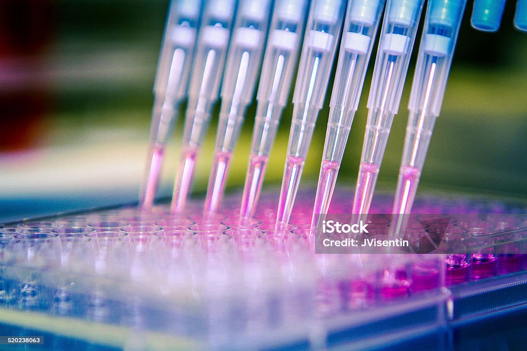 Pipette With Cell Culture Plate. A scientist distributes liquid through a multichannel Pipette into a 96-cell culture plate. DNA Stock Photo