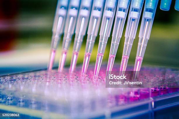 Pipette With Cell Culture Plate Stock Photo - Download Image Now - DNA, Pipette, Laboratory