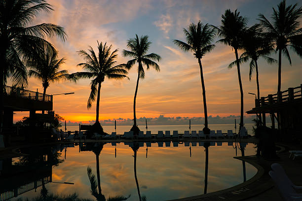 istock Sunrise with silhouette palm trees 520238185