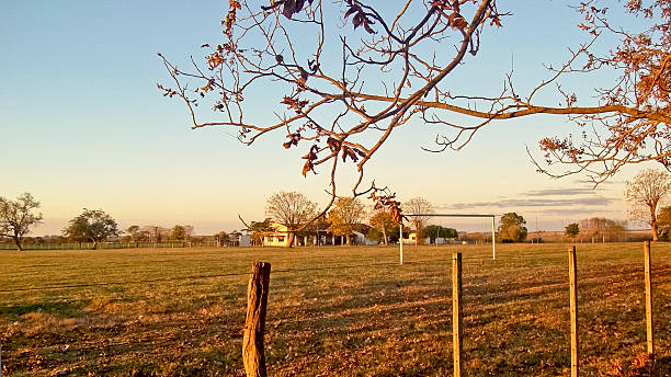 istock Rural House in the Field 520238913