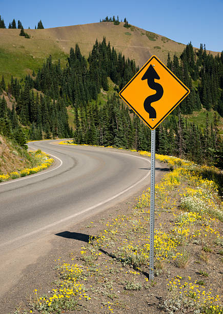 istock Road Sign Indicates Curves Ahead Mountain Landscape 520240105