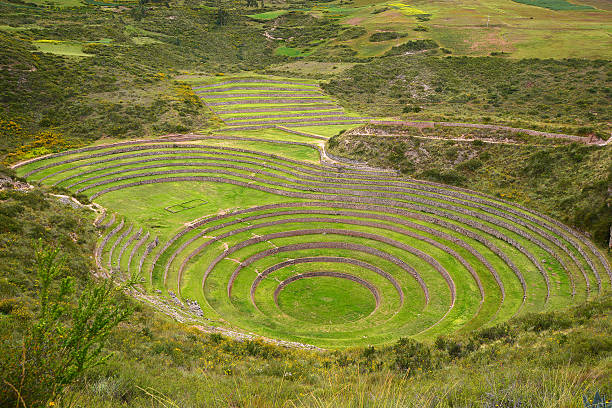 istock inca agriculture field 520240797