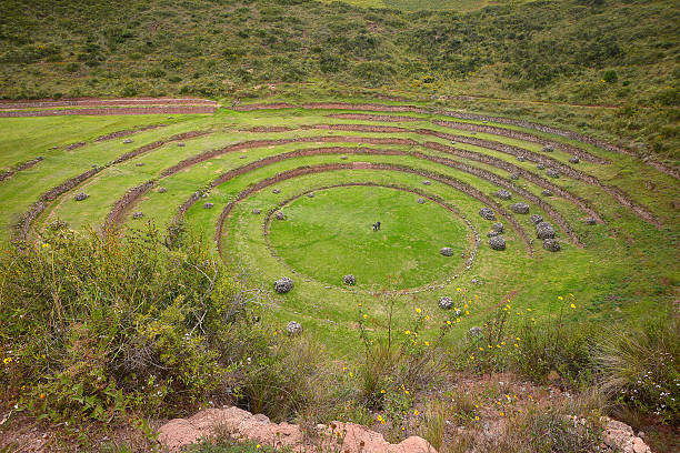 istock inca agriculture field 520240801