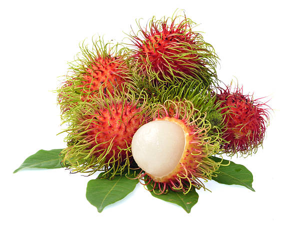 istock Rambutan with leaves isolated on white background 520241007