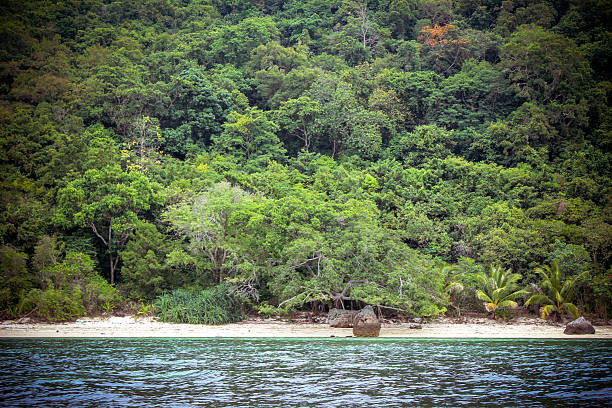 istock Tropical beach on Samui island paradise in the middle of 520241195