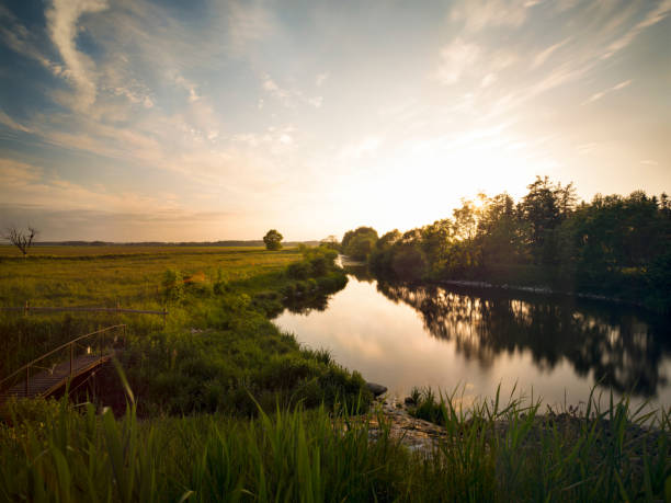 Water mirror of the trees and clouds in horizon on a calm river/lake in Skåne, Sweden.