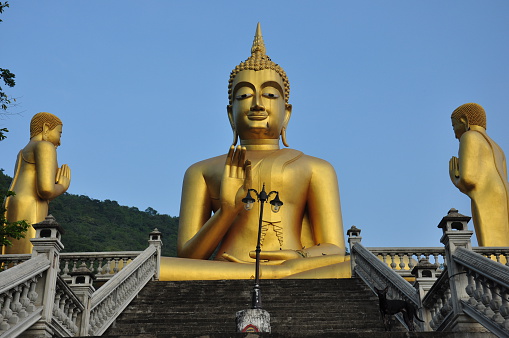 Budda statuse at Wat Sa La Dang