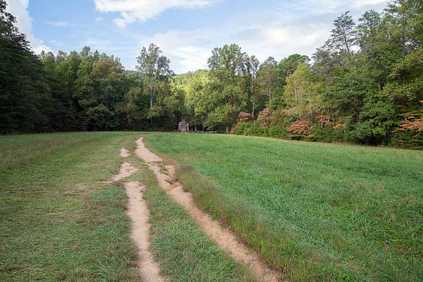 istock Cades Cove, Tennessee 520242419