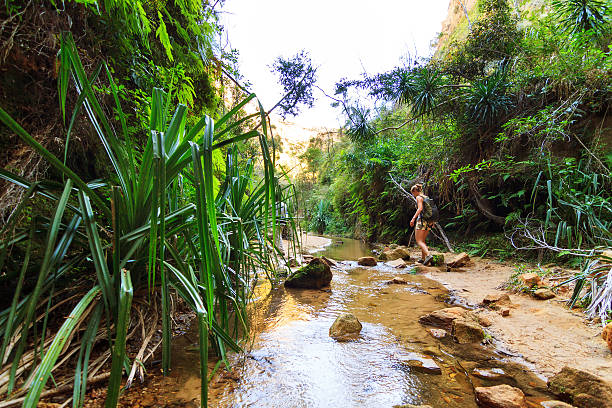 Canyon hike Isalo