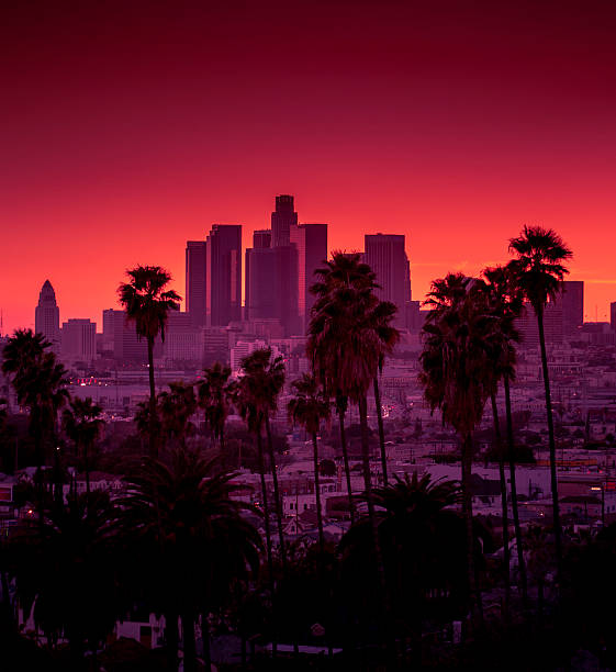 istock Downtown Los Angeles photographed at sunset 520243701