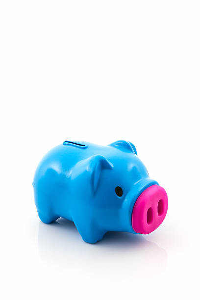 istock Blue piggy bank saving. 520244207
