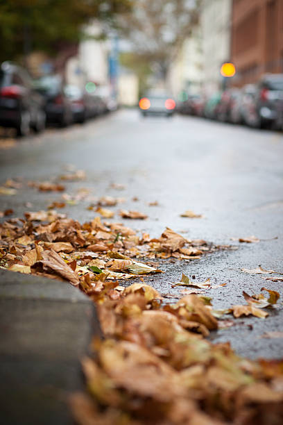 istock Autumn, leaves on the street 520245125