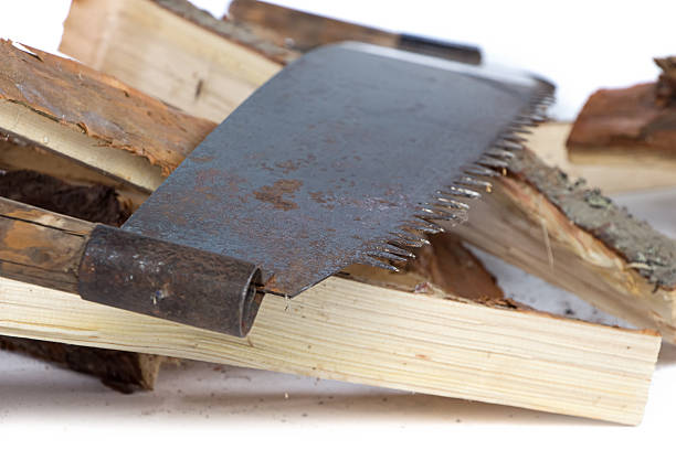 Image of handsaw and birch woods on white background