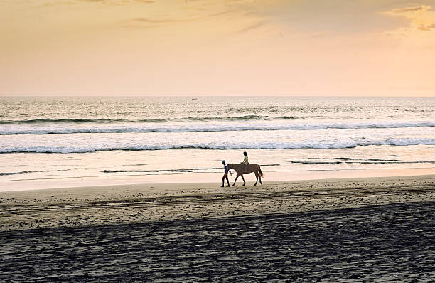 Young beautiful woman ride on sand beach. Horse with rider run along sea surf by water pool. Horseback walking tours, outdoor recreational sport, adventure activity on family summer vacation with kids