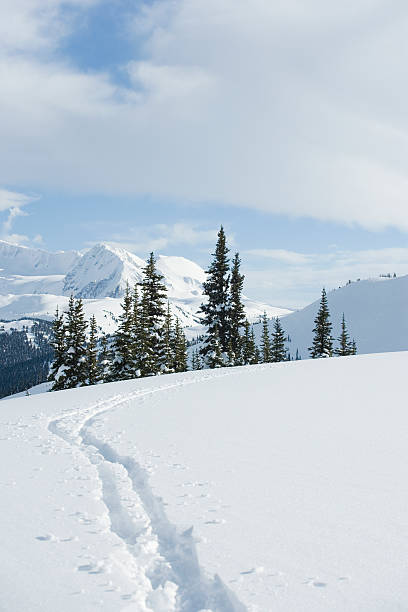 istock Snowmobile tracks in snow in mountain landscape 520259831