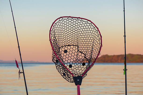 Fishing reel stock photo