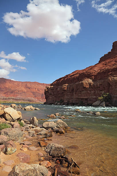 istock The Colorado River in red rocks 520262511