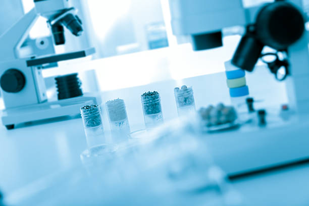 istock Seed subject to selection in Microbiological laboratory 520262781