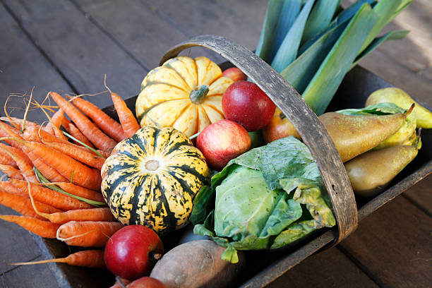 istock Basket with fresh vegetables and fruits 520264697