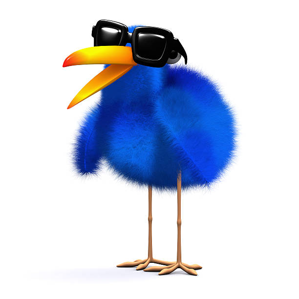 istock 3d Bluebird in sunglasses 520278311