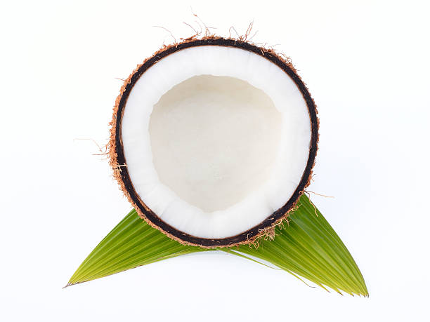 istock Coconut with leaves isolated on white background 520279129
