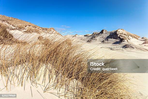 Wunderschöner Dünen Von Amrum Stockfoto und mehr Bilder von Deutsche Nordseeregion - Deutsche Nordseeregion, Deutschland, Fotografie