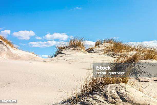 Wunderschöner Dünen Von Amrum Stockfoto und mehr Bilder von Deutsche Nordseeregion - Deutsche Nordseeregion, Deutschland, Fotografie