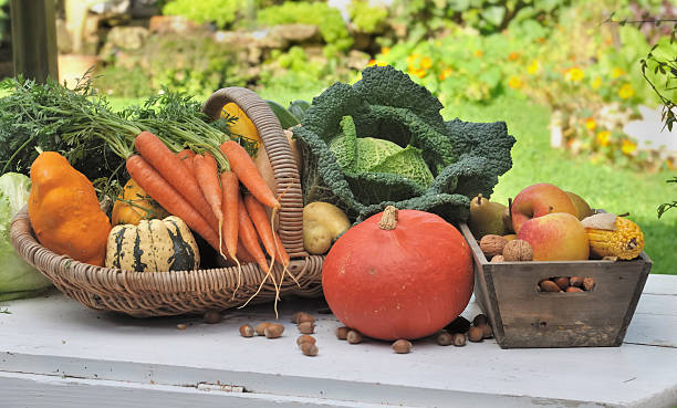 istock seasonal vegetables and fruits 520280067