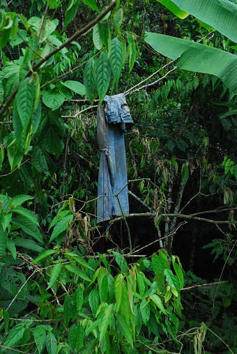 Blue Jeans Hung to Dry on a natural clothes line on the Napo River in the Amazon Basin, Ecuador.
