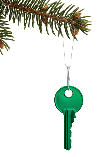 Fresh branch of a fir whit key on white background
