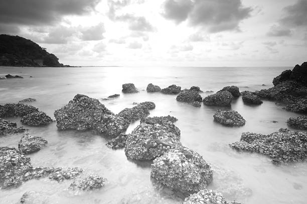 langzeitbelichtung der meer und steine - long exposure rock cloud sky stock-fotos und bilder