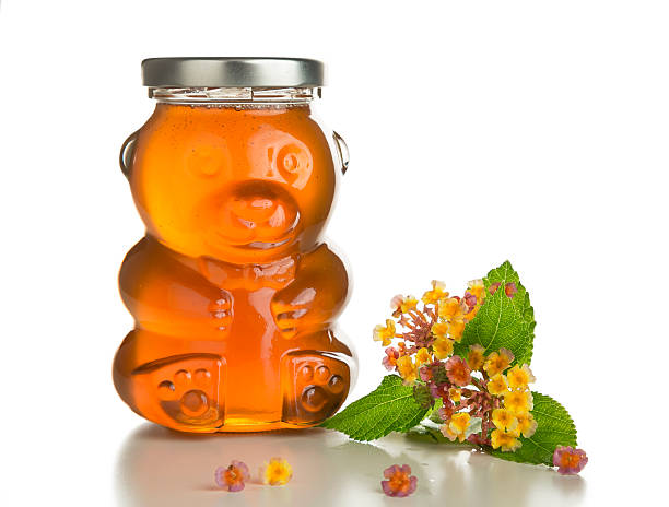istock Honey Bear and Branch With Flowers Isolated on White. 520281969