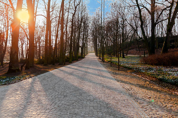 istock The stone path, city park with lot tree, burning sun 520285392