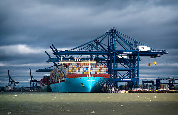 Loaded container ships at Felixstowe Felixstowe, Suffolk, England - February 21, 2016: On a stormy day and in a shaft of sunlight, a massive Maersk Line container ship is moored quayside at the Port of Felixstowe in Suffolk, eastern England. Containers are moved from the stacks, then gently loaded onto lorries waiting underneath the huge cranes. Felixstowe is the busiest container port in the United Kingdom. estuary photos stock pictures, royalty-free photos & images