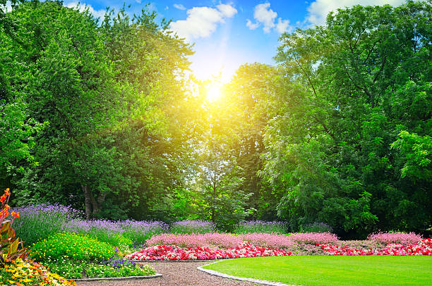 istock summer park with flowerbeds 520286048